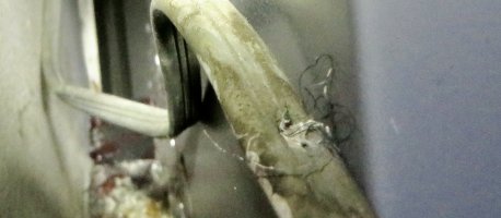 IMG_4353.JPG
