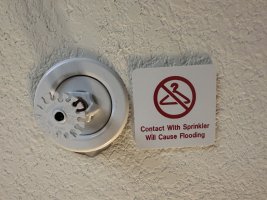 IMG_1965.jpeg