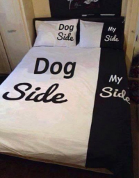 1682556077840.png