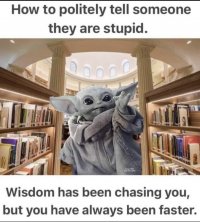 1682732600188.jpg