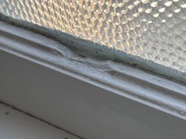 IMG_5792.jpeg