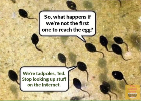 1637688291018.png