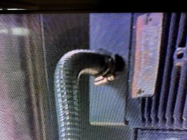 IMG_3233.jpeg