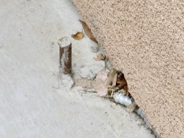 IMG_4596.JPG