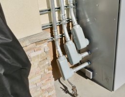 IMG_8341.JPG
