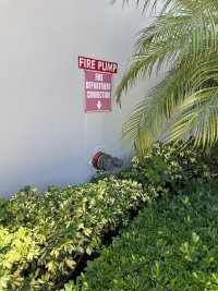 IMG_3319.jpeg