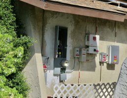 IMG_4774.JPG