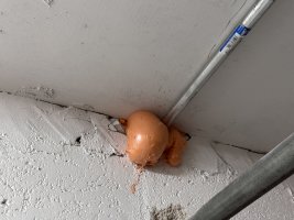 IMG_3456.jpeg