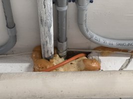 IMG_3455.jpeg