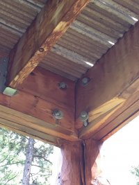 1694214047309.jpeg 1694214047309.jpeg