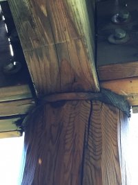 1694214164349.jpeg 1694214164349.jpeg