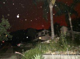 IMG_7045.JPG