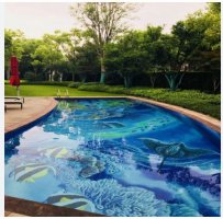 pool graphic.JPG