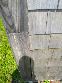 IMG_20230706_113845.jpg