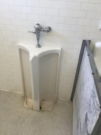 PUSD dual urinal.jpg