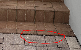 1718403565236.png