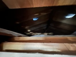 IMG_5012.jpeg