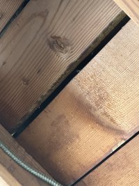 IMG_5020.jpeg