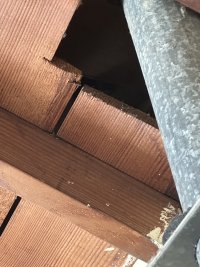 IMG_5019.jpeg