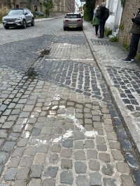 IMG_8780.jpeg