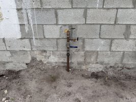 IMG_1305.jpeg