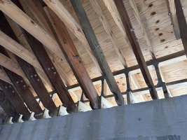 IMG_1317.JPG