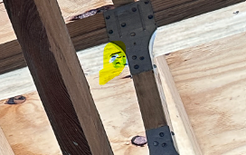 1730387069489.png