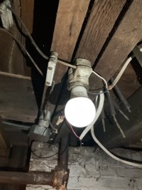 Knob and Tube light.jpg
