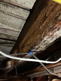 IMG_0964[1].JPG