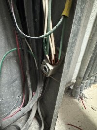 IMG_6171.jpeg
