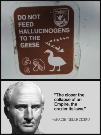 1758662704996.png