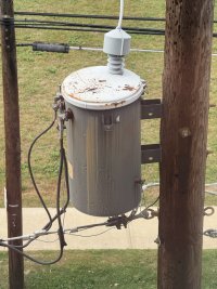 IMG_4323.jpeg