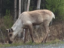 IMG_0329.JPG