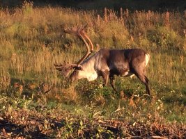 IMG_0557.JPG