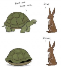 tortoise-hare.png