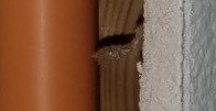 nail.jpg