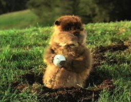 Golf-ball-Gopher.jpg