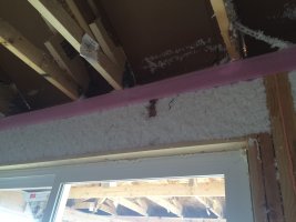 IMG_5260.jpg