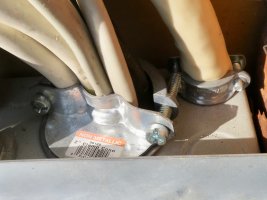 IMG_3853.jpeg