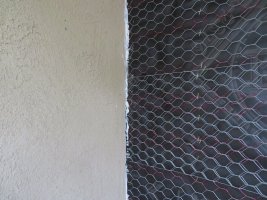 37269565555_b1cef86d07_b.jpg