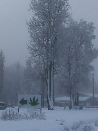 IMG_2452.JPG