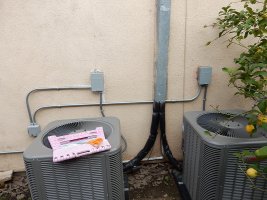 47278904612_4e7d3a03b0_c.jpg 47278904612_4e7d3a03b0_c.jpg