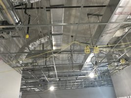 IMG_3410.JPG