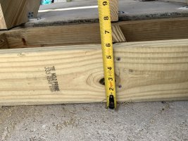 IMG_3703.JPG