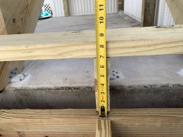 IMG_3704.JPG