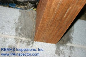 IMG_0089 copy.jpg