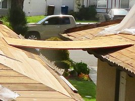 46926590314_a18bbfe610_b.jpg