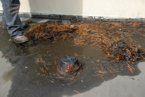 drain.png