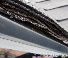 IMG_20190429_094806[1].jpg