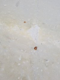 20190522_101440.jpg